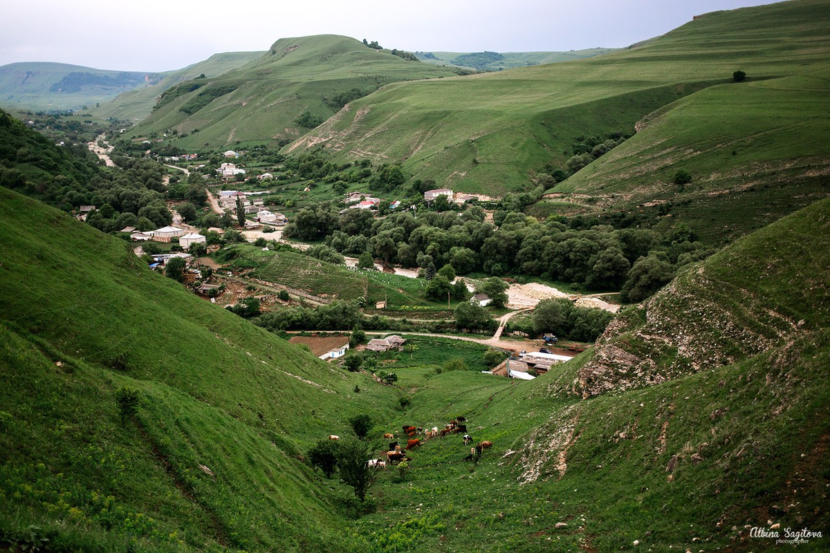 Кабардино балкария мужчины фото